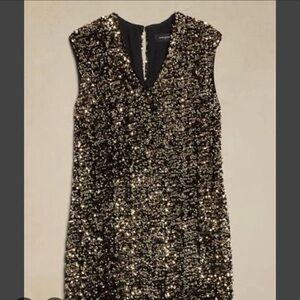 Banana Republic Shimmering Black and Gold Mini Dress